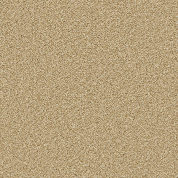 Cormar Apollo Plus Caramel