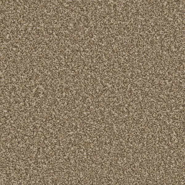 Cormar Apollo Plus Cork Oak