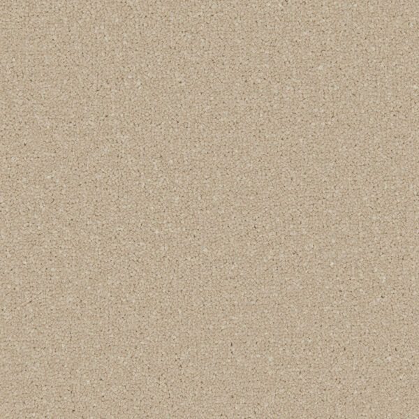 Cormar Apollo Plus Sea Breeze