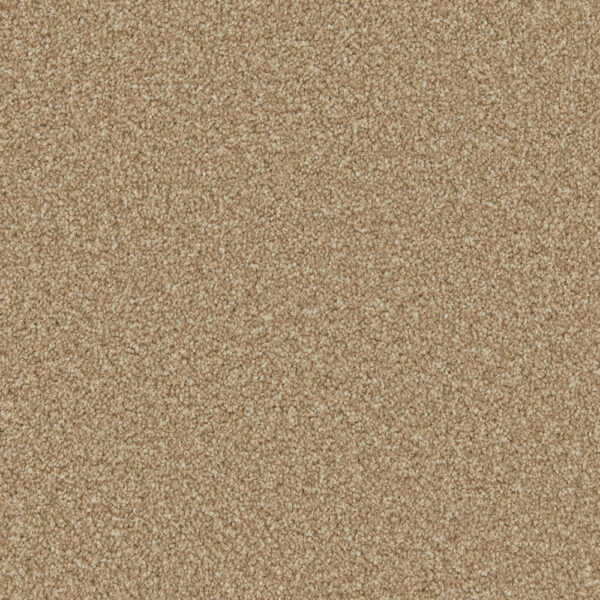 Cormar Apollo Plus Stepping Stone