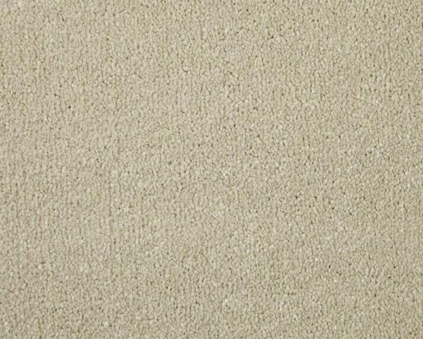 Cormar Apollo Elite Pale Angora