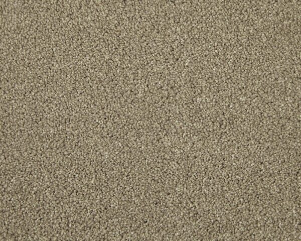 Cormar Apollo Elite Helmsley Hazelnut