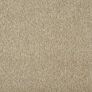 Cormar Primo Plus Putty