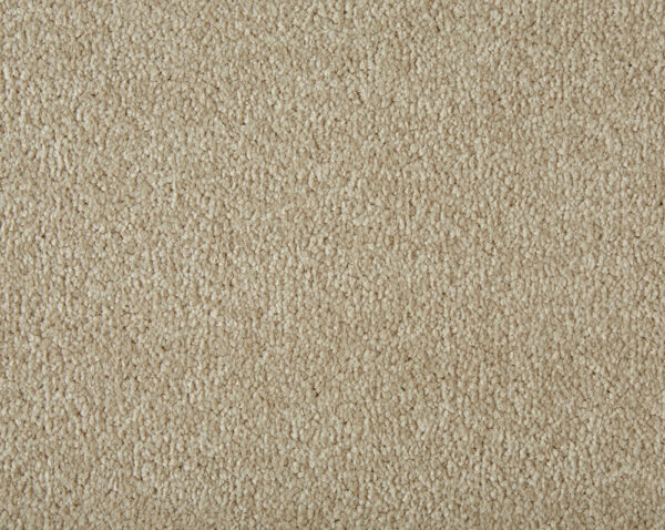 Cormar Primo Plus Putty