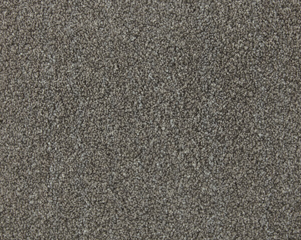 Cormar Soft deep pile Sensation Heathers Greyhound