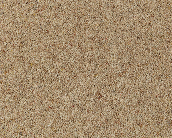 Cormar Wool twist Natural Berber Twist Chamois