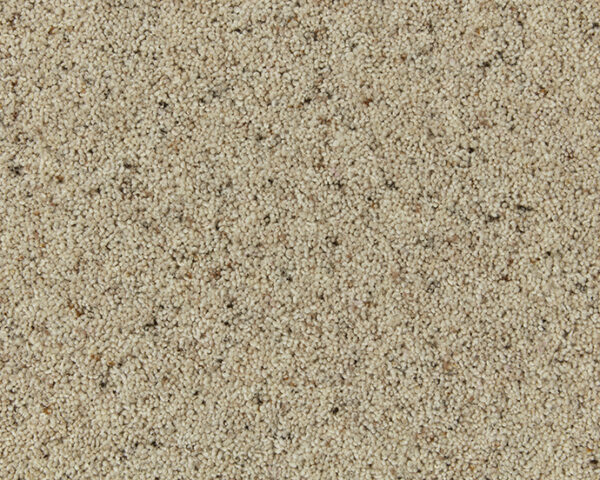 Cormar Wool twist Natural Berber Twist Morning Dew