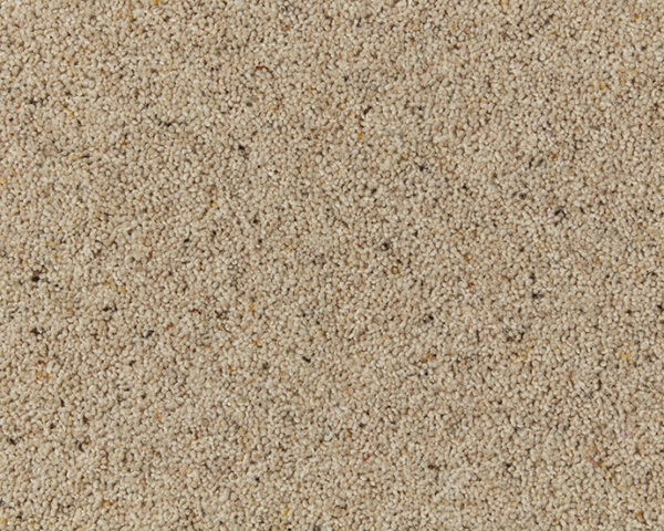 Cormar Wool twist Natural Berber Twist Seed