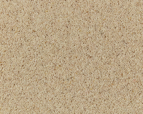 Cormar Wool twist Natural Berber Twist Coconut