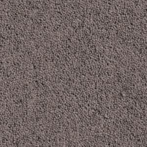Cavalier Country Collection Parkin