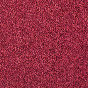 Cavalier Cosmopolitan Ruby