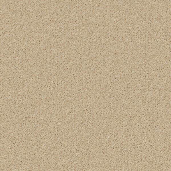 Cormar Wool twist Hampstead Fossil
