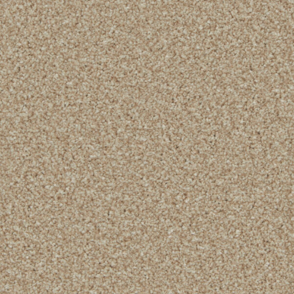 Cormar Kingston Caracal
