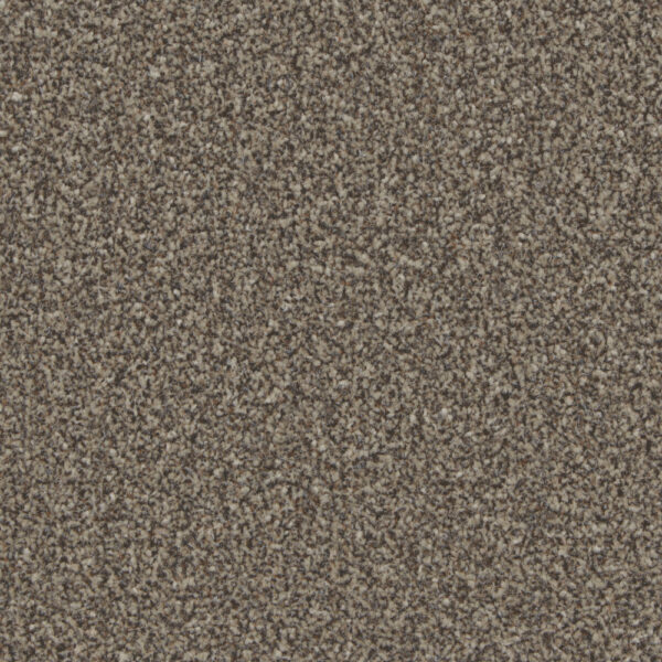 Cormar Kingston Molasses