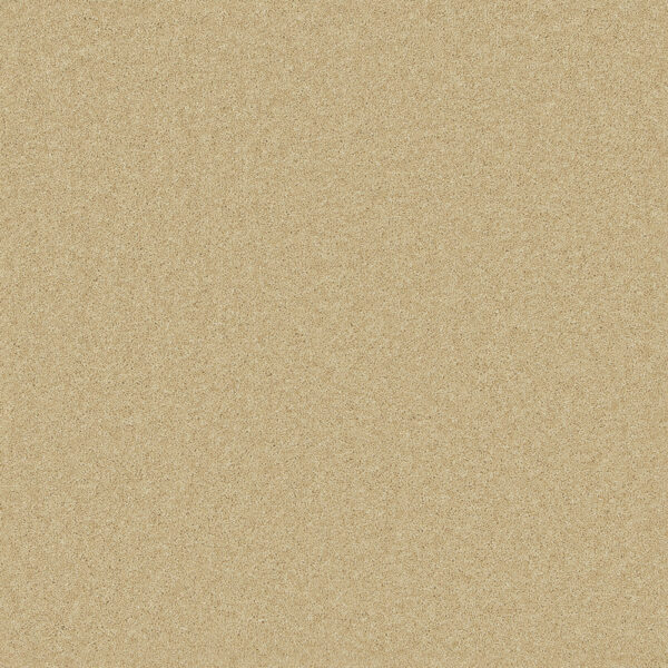 Cormar Wool twist Pembroke Camel