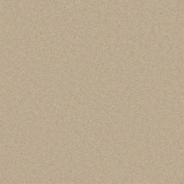 Cormar Wool twist Pembroke Savannah