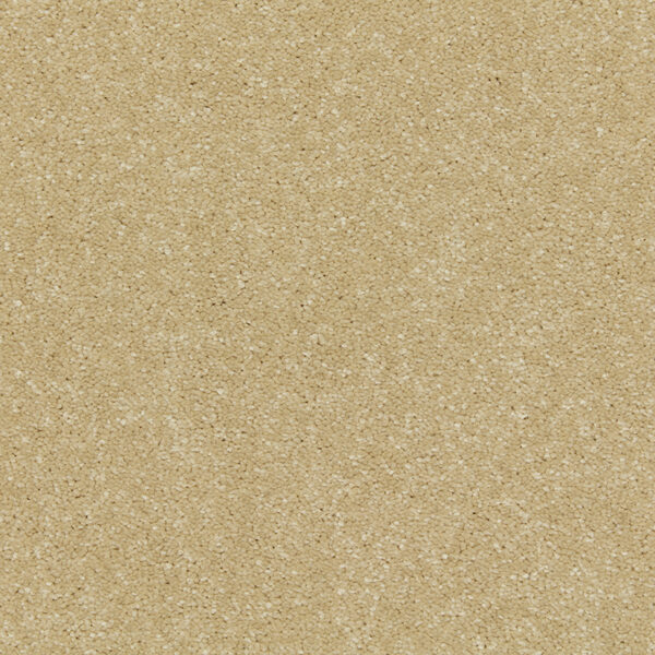 Cormar Soft deep pile Riva Panama