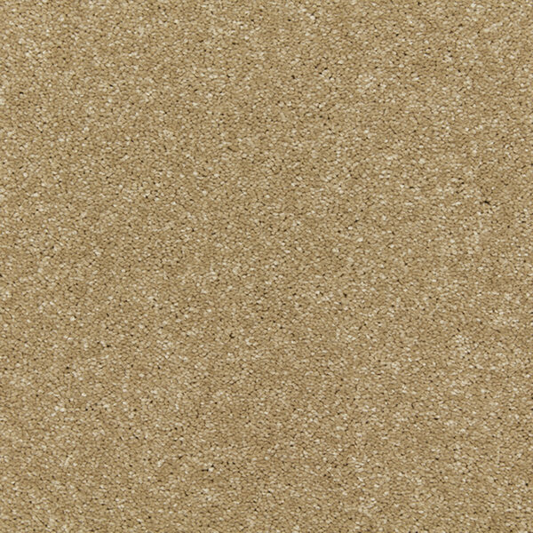 Cormar Soft deep pile Riva Wattle