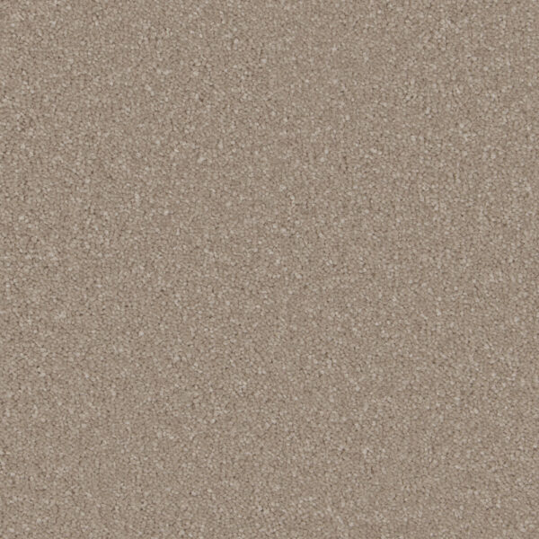 Cormar Soft deep pile Sensation Ammonite