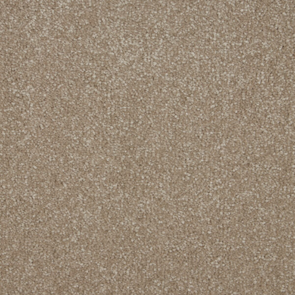 Cormar Soft deep pile Sensation Cambrian Stone