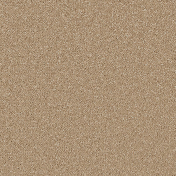 Cormar Soft deep pile Sensation Gazelle