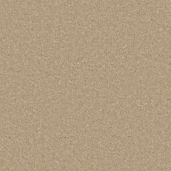 Cormar Soft deep pile Sensation Laguna