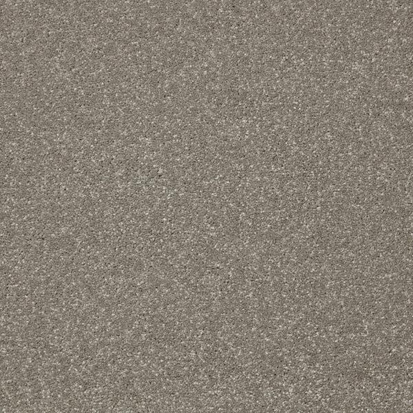 Cormar Primo Plus Theakston Taupe