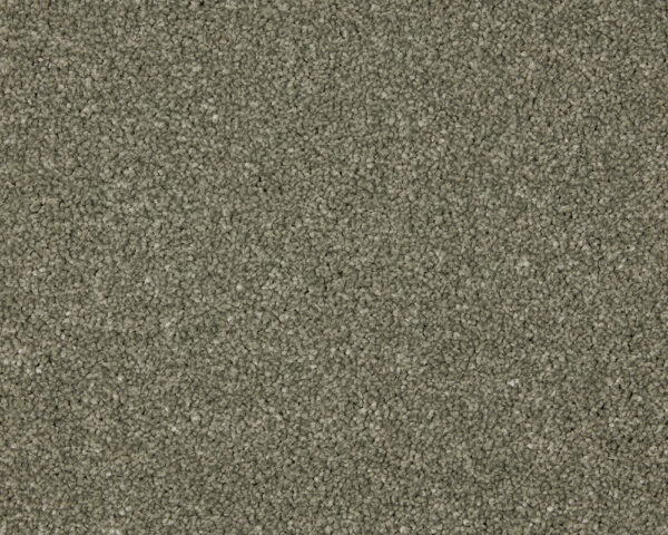 Cormar Inglewood Saxony Willow