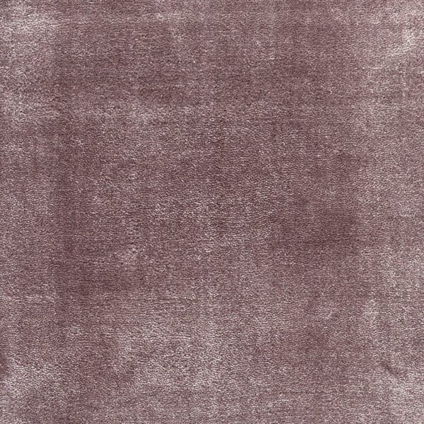 Jacaranda Kheri Amethyst