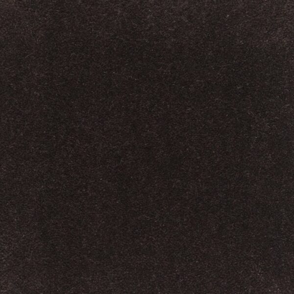 Jacaranda Rajgarh Charcoal