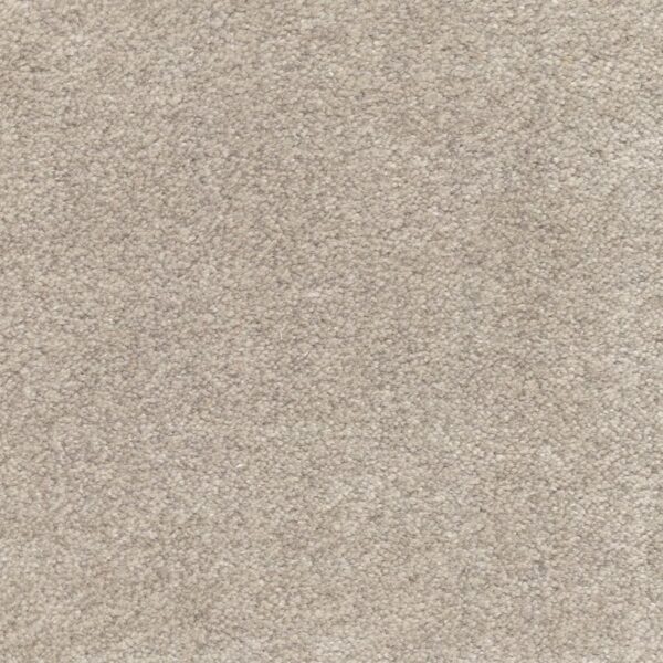 Jacaranda Rajgarh Dappled Grey