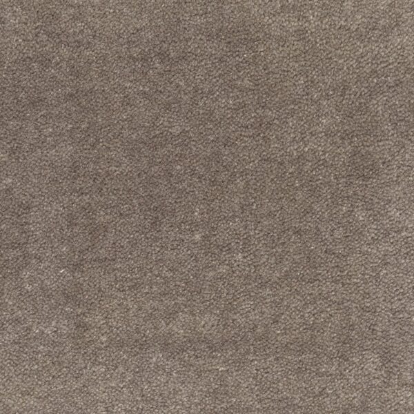 Jacaranda Rajgarh Gunmetal