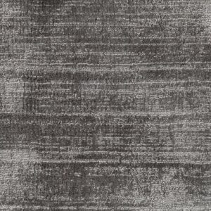 Jacaranda Santushti Fossil