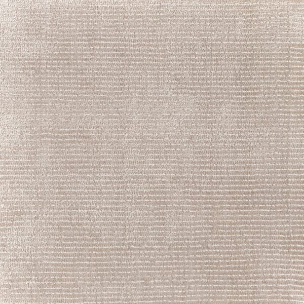 Jacaranda Seoni Canvas