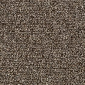 Crucial Trading Jasmine Grey Orchid WJ204