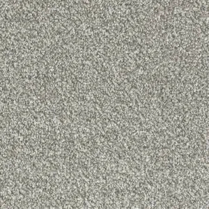 Abingdon Flooring Stainfree Arena Dapple
