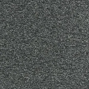 Abingdon Flooring Stainfree Arena Nickel