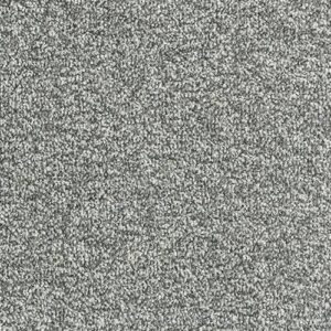 Abingdon Flooring Stainfree Arena Graphite