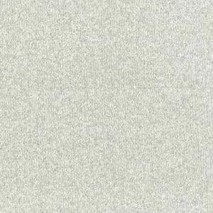 Abingdon Flooring Stainfree Arena Cool Silver
