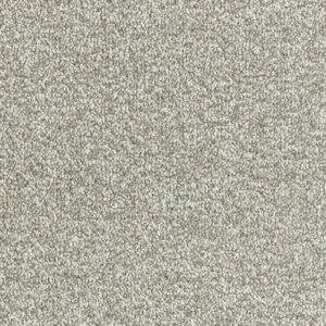 Abingdon Flooring Stainfree Arena Platinum