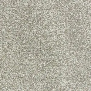 Abingdon Flooring Stainfree Arena Platinum