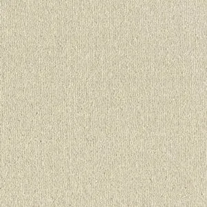 Abingdon Flooring Stainfree Arena Dove Grey