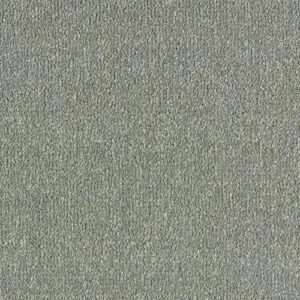 Abingdon Flooring Stainfree Arena Misty Grey