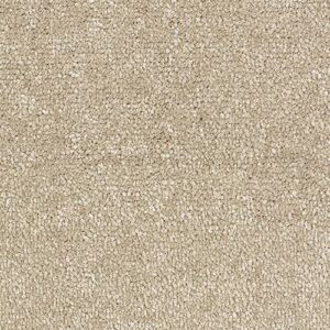 Abingdon Flooring Stainfree Satin Touch Mohair