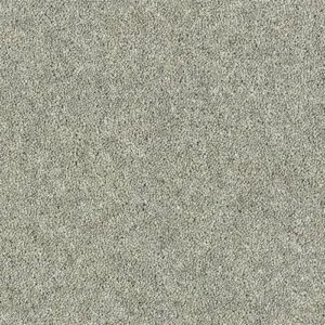 Abingdon Royal Charter Deluxe Silver Birch