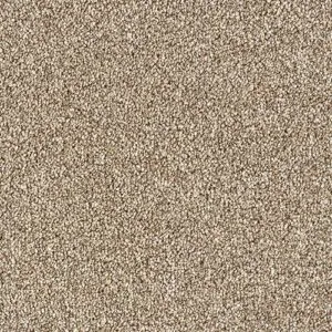 Abingdon Flooring Stainfree Rustique Saxony Rustic Charm