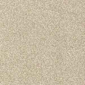Abingdon Flooring Stainfree Rustique Saxony Urban Chic