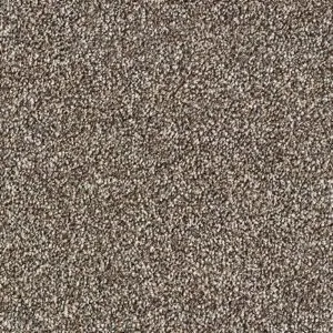 Abingdon Flooring Stainfree Rustique Saxony Chocolate Box