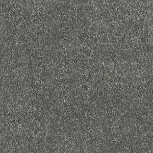 Abingdon Flooring Stainfree Olympus Steel