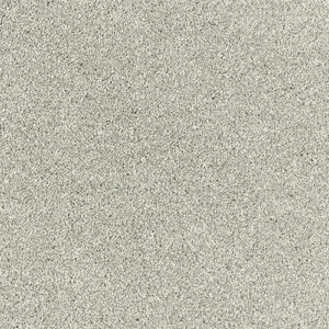 Abingdon Flooring Stainfree Olympus Wolf Grey
